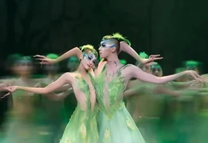 Yang Liping’s Peacock Dance Sparks Debate Over Artistic Expression and Public Decency - image 3