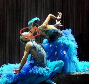Yang Liping’s Peacock Dance Sparks Debate Over Artistic Expression and Public Decency - image 1