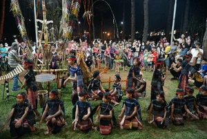 Experience the Soul of the Highlands with Weekly Gong Performances in Gia Lai - image 6