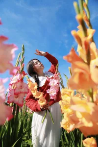Stunning Gladiolus Fields at Mimosa Pass Become Da Lat's Latest Hotspot - image 1