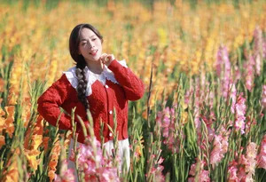 Stunning Gladiolus Fields at Mimosa Pass Become Da Lat's Latest Hotspot - image 5