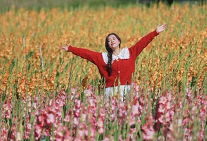 Stunning Gladiolus Fields at Mimosa Pass Become Da Lat's Latest Hotspot - image 0