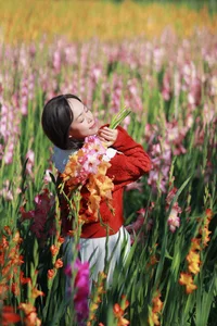Stunning Gladiolus Fields at Mimosa Pass Become Da Lat's Latest Hotspot - image 8