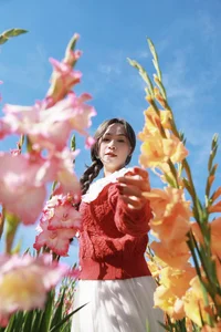 Stunning Gladiolus Fields at Mimosa Pass Become Da Lat's Latest Hotspot - image 2
