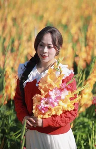 Stunning Gladiolus Fields at Mimosa Pass Become Da Lat's Latest Hotspot - image 10