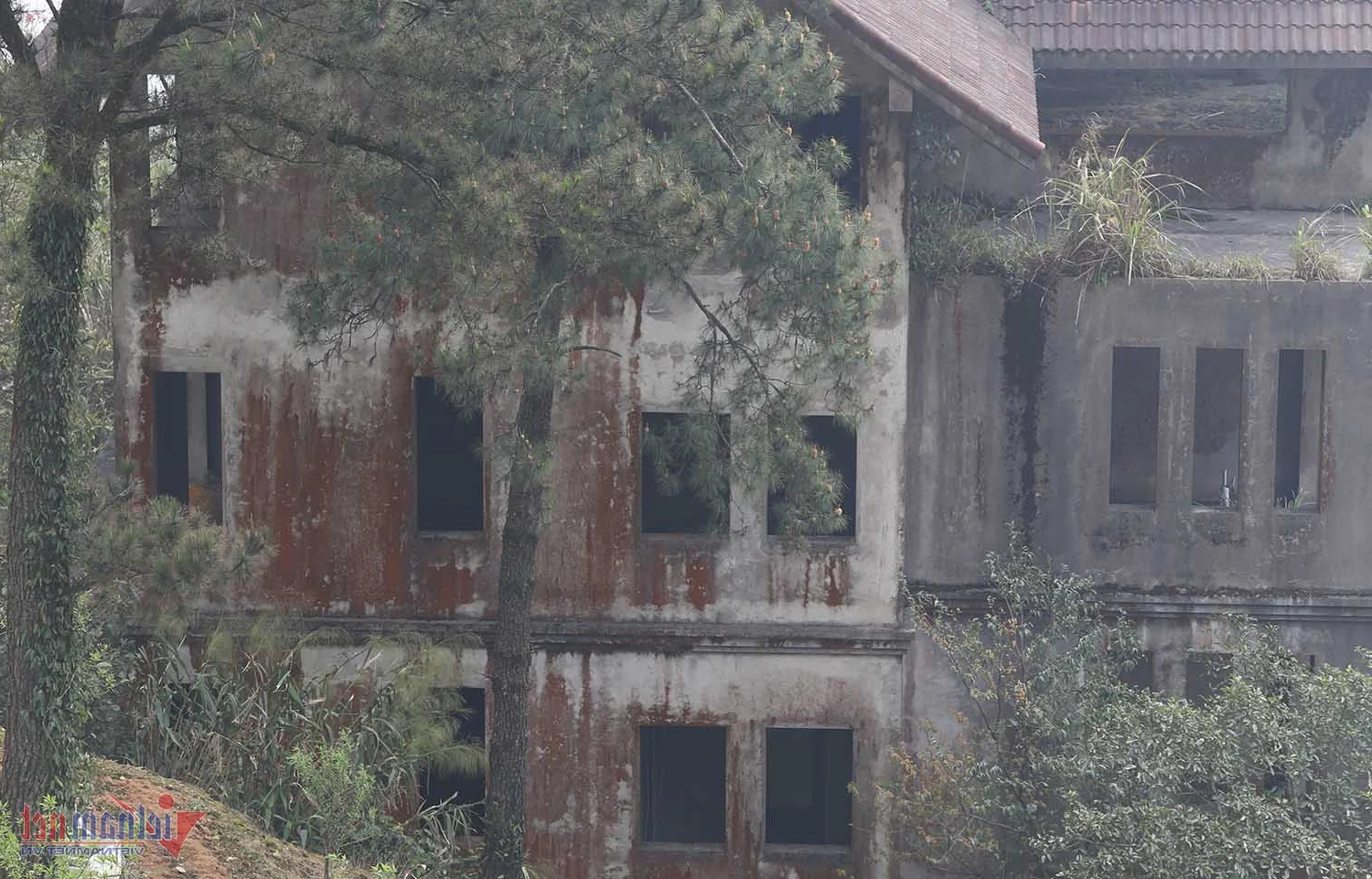 The Mystery of the Abandoned Villa in Tam Dao