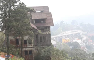 The Mystery of the Abandoned Villa in Tam Dao - image 7