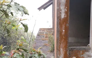 The Mystery of the Abandoned Villa in Tam Dao - image 6