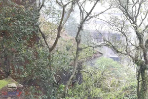 The Mystery of the Abandoned Villa in Tam Dao - image 3