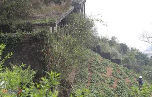 The Mystery of the Abandoned Villa in Tam Dao - image 5