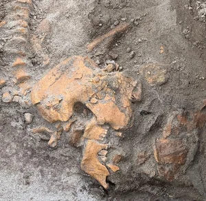 Unearthing a 4,000-Year-Old Ancient Tomb: Secrets That Shocked the World - image 7