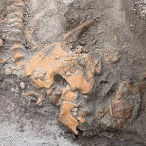 Unearthing a 4,000-Year-Old Ancient Tomb: Secrets That Shocked the World - image 4