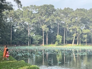 Discovering Ba Om Pond: A Serene Escape in Vietnam’s Mekong Delta - image 5
