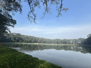 Discovering Ba Om Pond: A Serene Escape in Vietnam’s Mekong Delta - image 7