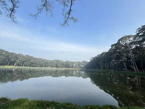 Discovering Ba Om Pond: A Serene Escape in Vietnam’s Mekong Delta - image 4