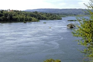 Hidden Secrets of the Nile: Exploring the World's Longest River - image 5