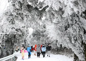 Breathtaking and Harsh Winter: Heavy Snow and Ice Blankets Northern China - image 2