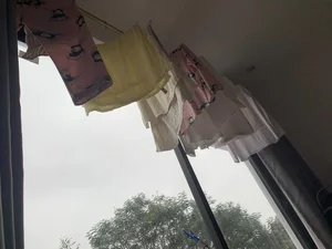 Humorous Takes on the Humid 'Nom' Weather in Northern Vietnam - image 3