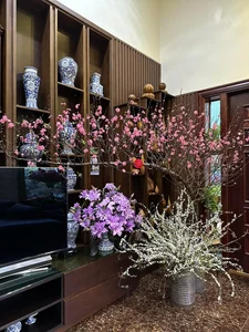 Discover the Enchanting Beauty of Purple Lilies: The Hot New Trend in Floral Home Decor - image 0
