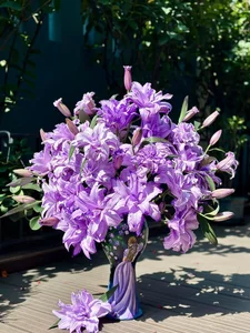 Discover the Enchanting Beauty of Purple Lilies: The Hot New Trend in Floral Home Decor - image 5