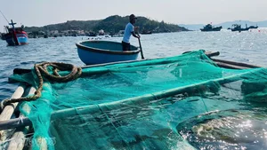 Floating Fortresses of Nhon Chau: How Squid Fishing Empowers Island Communities - image 5