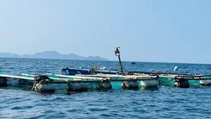 Floating Fortresses of Nhon Chau: How Squid Fishing Empowers Island Communities - image 3