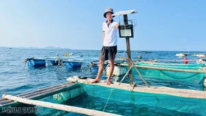 Floating Fortresses of Nhon Chau: How Squid Fishing Empowers Island Communities - image 6