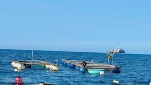Floating Fortresses of Nhon Chau: How Squid Fishing Empowers Island Communities - image 2