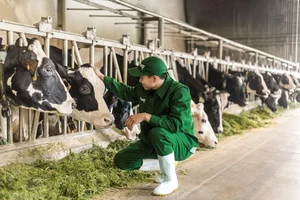 Vinamilk's Net Zero Ecosystem Expands Beyond Green Dairy Farms - image 5