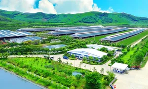 Vinamilk's Net Zero Ecosystem Expands Beyond Green Dairy Farms - image 3