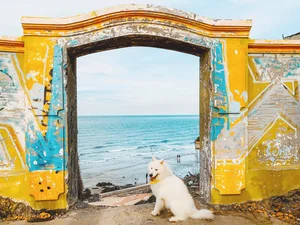 Vung Tau Travel Guide 2024: A Complete Guide to Beaches and Seafood - image 19