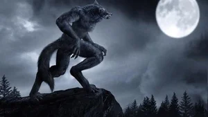 The Legend of the Werewolf: Unraveling the Mystery of Shapeshifters - image 7