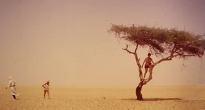 The Loneliest Tree on Earth: The Solitary Lighthouse of the Sahara Desert - image 0