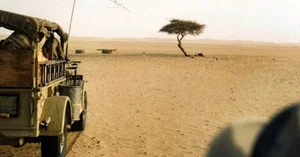 The Loneliest Tree on Earth: The Solitary Lighthouse of the Sahara Desert - image 3
