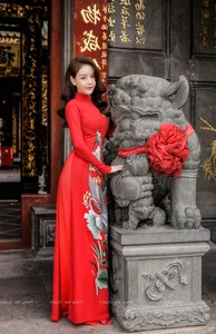 Timeless Elegance: A Gallery of Vietnamese Schoolgirls in Traditional White Ao Dai - image 88
