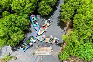 The Dreamy Mangrove Forest of Bau Ca Cai: A Hidden Gem in Quang Ngai - image 10