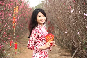 Stunning Spring Portraits: Celebrating Beauty Amid Peach and Apricot Blossoms - image 4