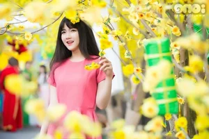 Stunning Spring Portraits: Celebrating Beauty Amid Peach and Apricot Blossoms - image 1
