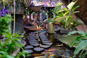 Discover the Serene Koi Fish Cafes of Ho Chi Minh City - image 7