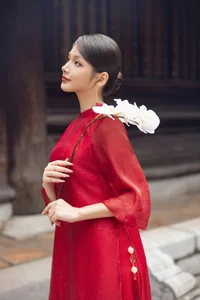 Sophisticated Ao Dai Designs for Lunar New Year: Elegant and Flattering Styles for Women - image 6