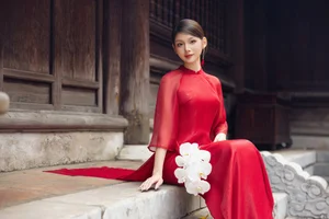 Sophisticated Ao Dai Designs for Lunar New Year: Elegant and Flattering Styles for Women - image 1