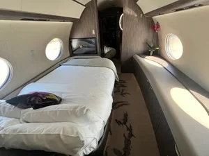 Inside Jeff Bezos's Multi-Million Dollar Private Jet: The Ultimate in Luxury Travel - image 8