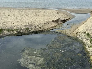 Environmental Concerns Over Smelly Wastewater Pools on Da Nang Beach - image 6