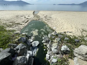Environmental Concerns Over Smelly Wastewater Pools on Da Nang Beach - image 5