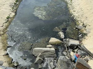Environmental Concerns Over Smelly Wastewater Pools on Da Nang Beach - image 1