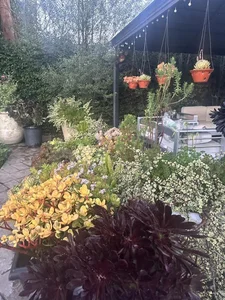 Inside Ha Thanh Xuan's Stunning Flower-Filled Villa in the United States - image 2