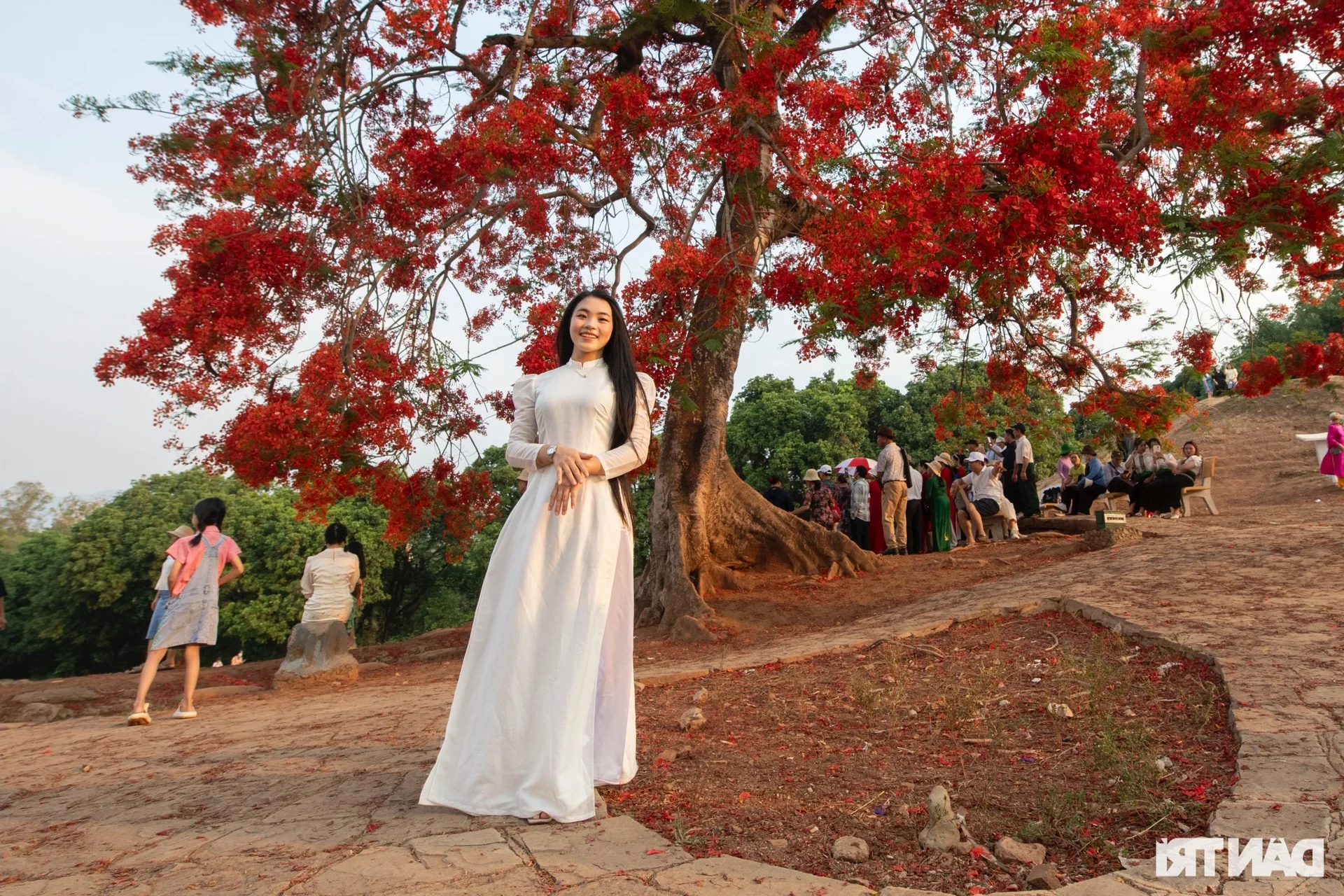 Remembering History: Exploring the Iconic A1 Hill Relic in Dien Bien Phu