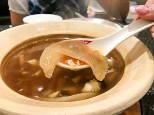 The Dark Truth Behind Shark Fin Soup: A Luxury with a Cruel Cost - image 4