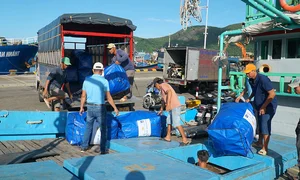 Con Dao Island Journey to Net Zero: Eco-Tourism and Green Future - image 1