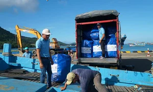 Con Dao Island Journey to Net Zero: Eco-Tourism and Green Future - image 7